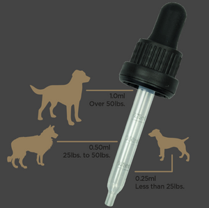 Bacon Flavored CBD Oil for Pets